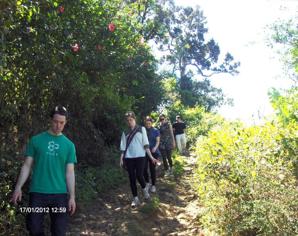 Mayapott Plantation Villa Thekkady Eksteriør billede